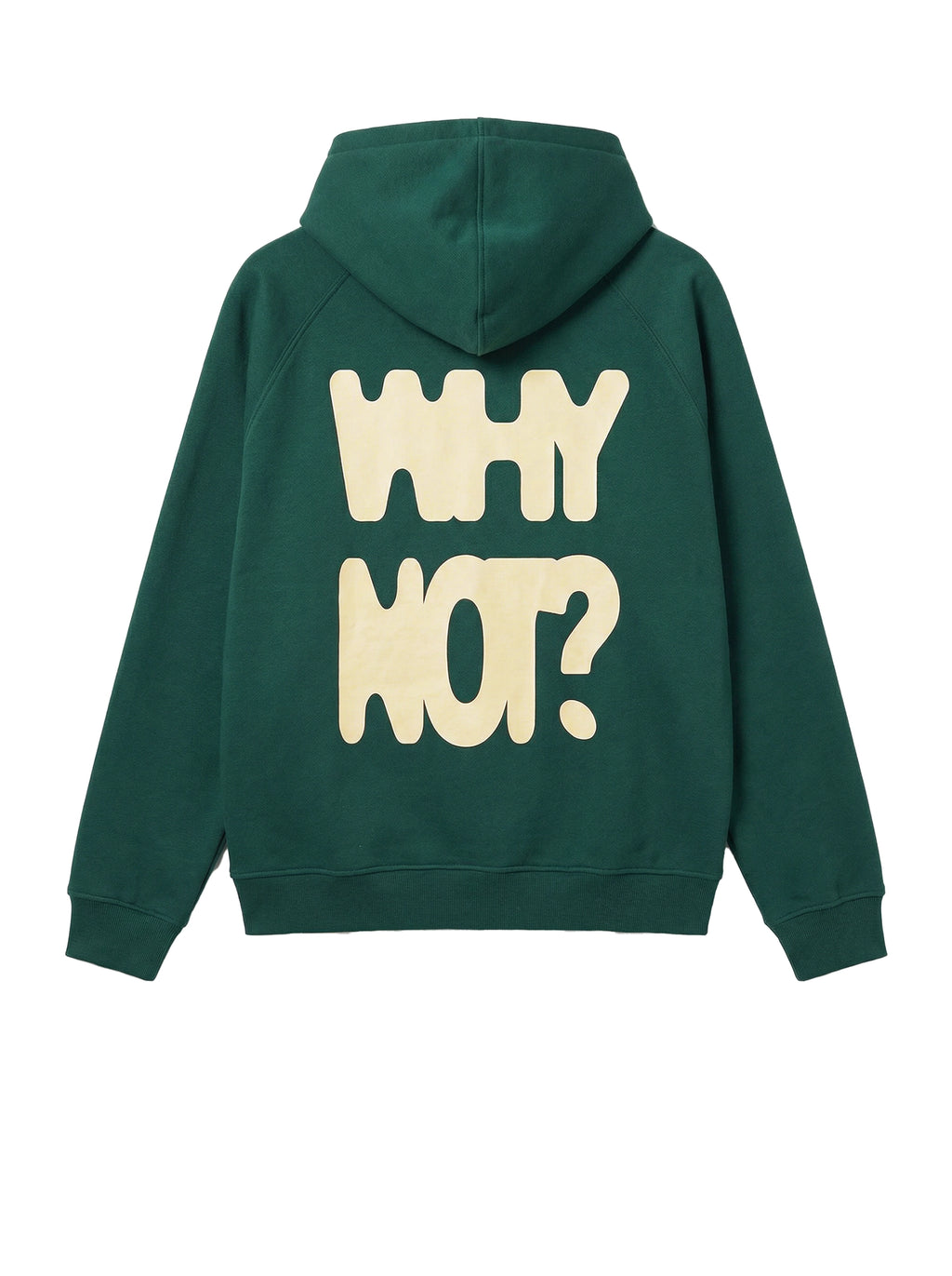 Green hoodie with 'WHY NOT?' text on the back against a white background