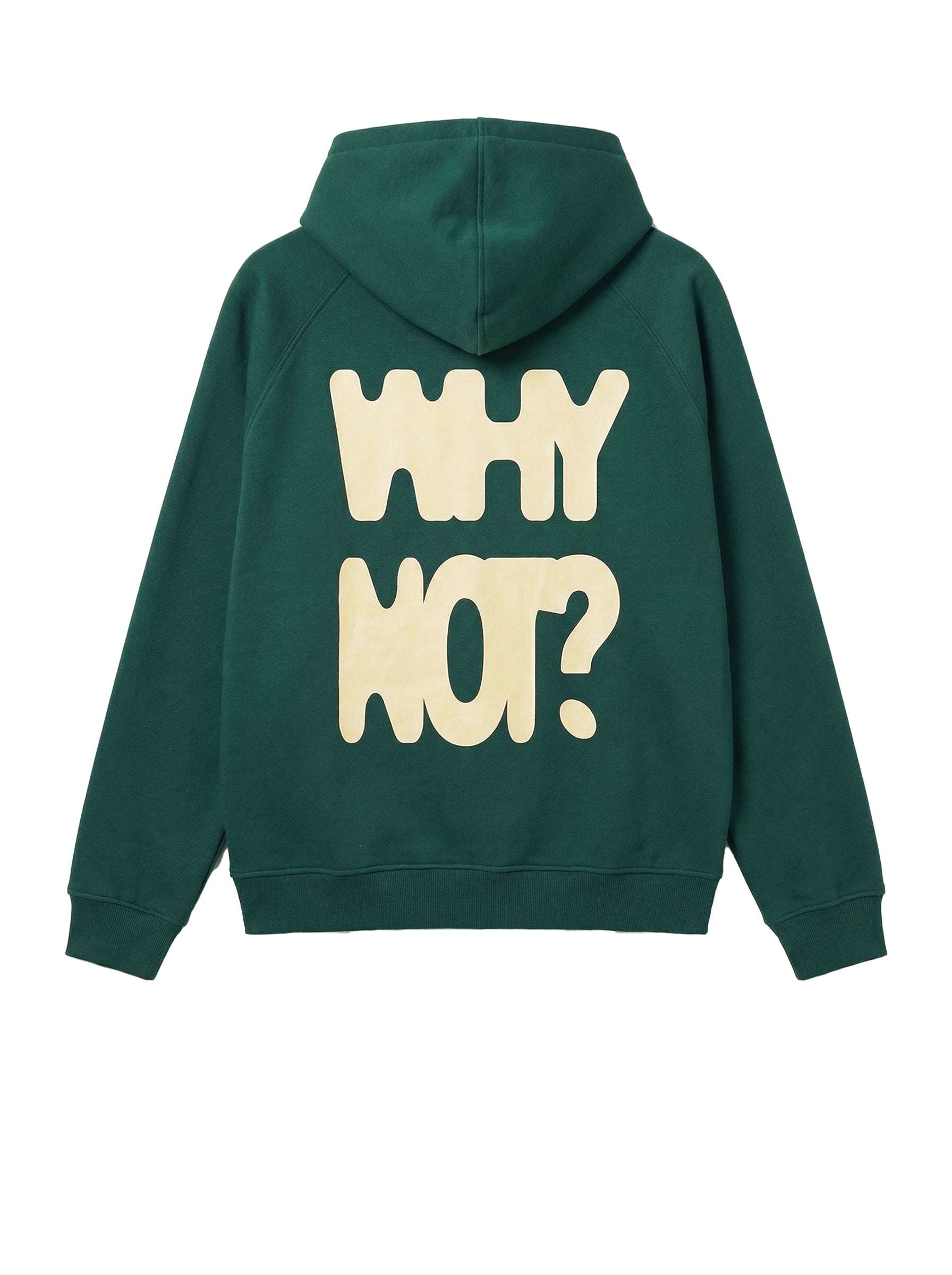 Green hoodie with 'WHY NOT?' text on the back against a white background